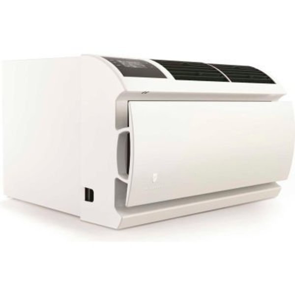 Friedrich WallMasterÂ Wall Air Conditioner, 10000 BTU Cool, 230V, Friedrich, Mfr#: WCT10A30A